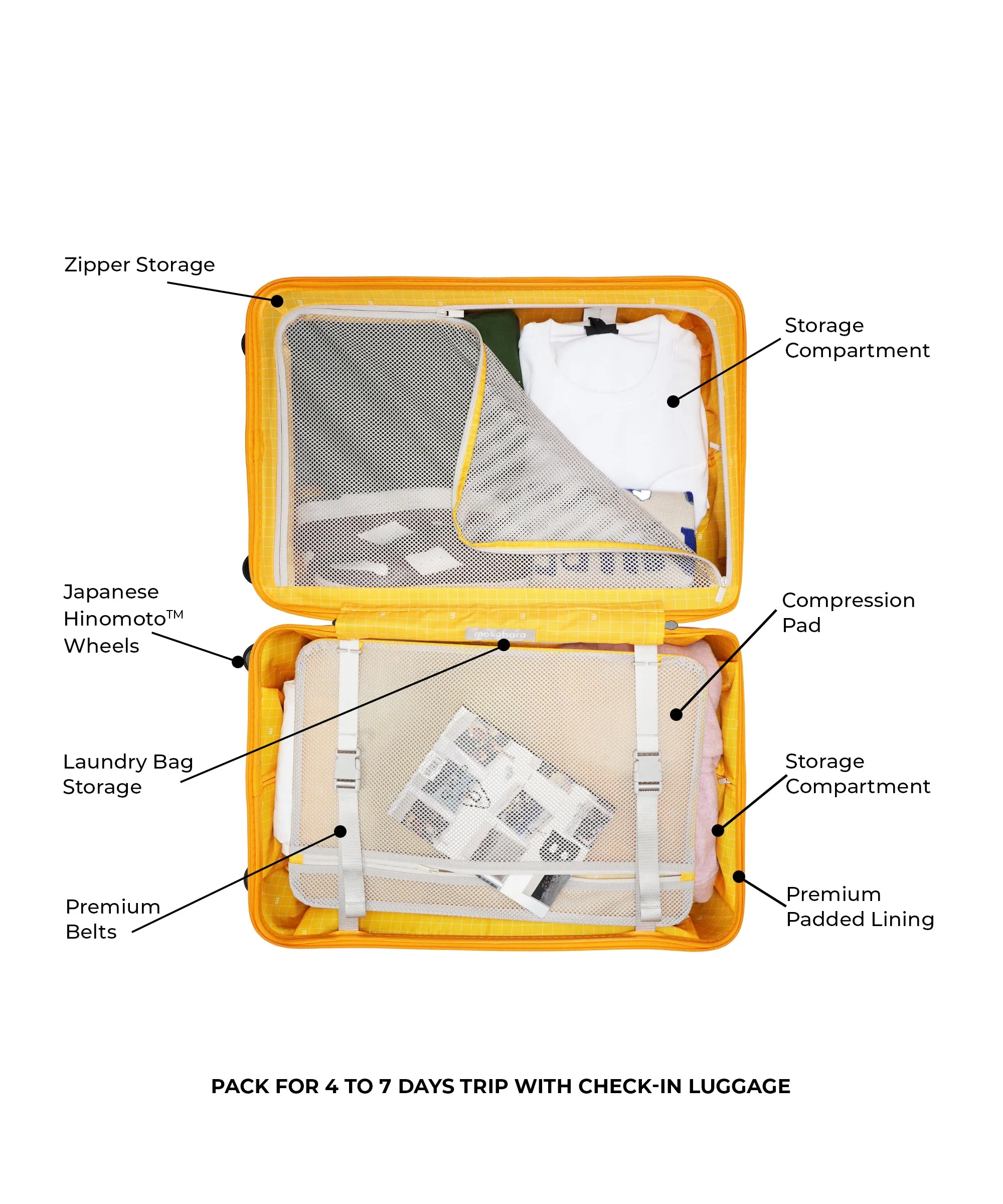 The Cabin Luggage - Image 76