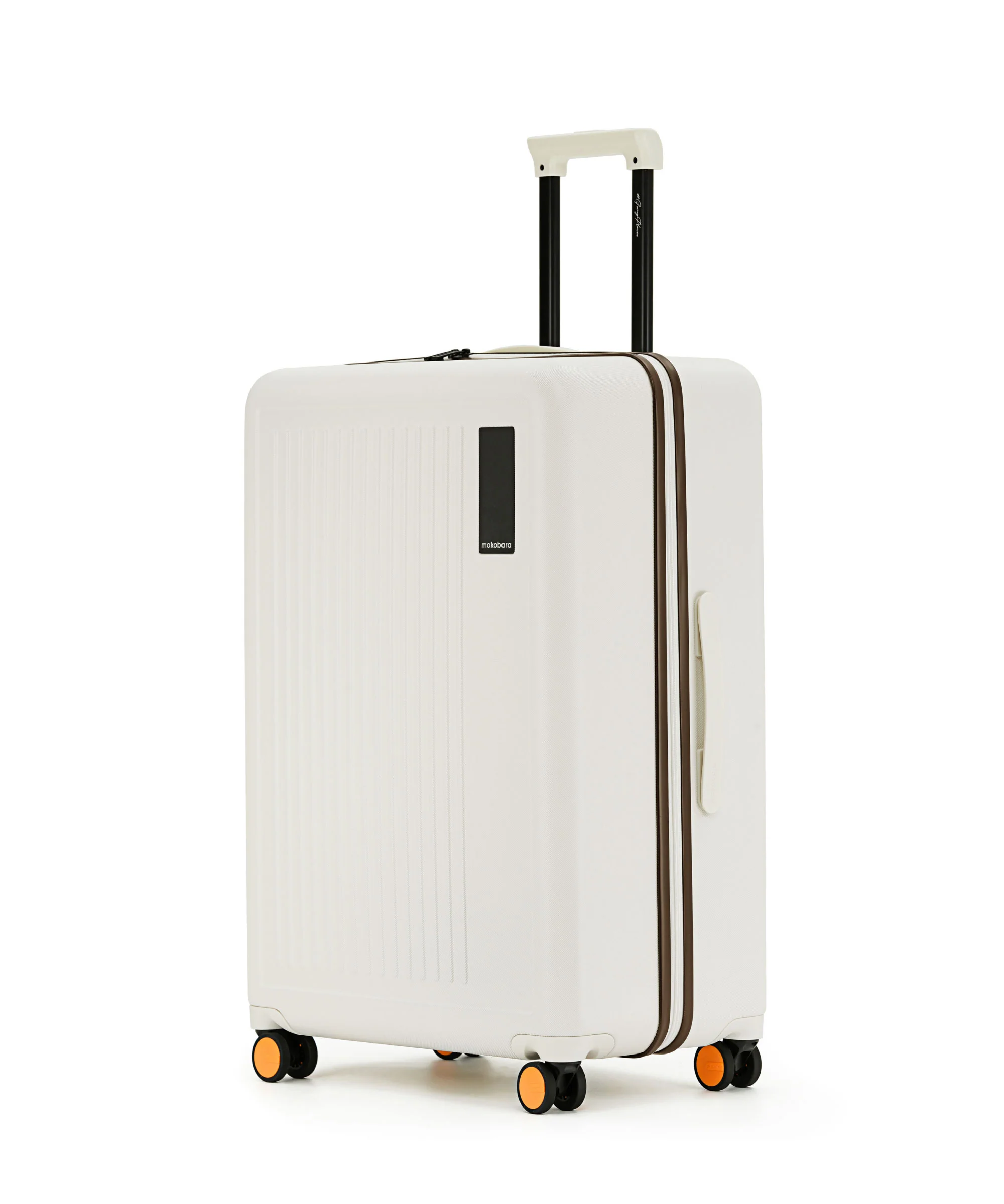 The Transit Luggage - Check-in Large - Image 27