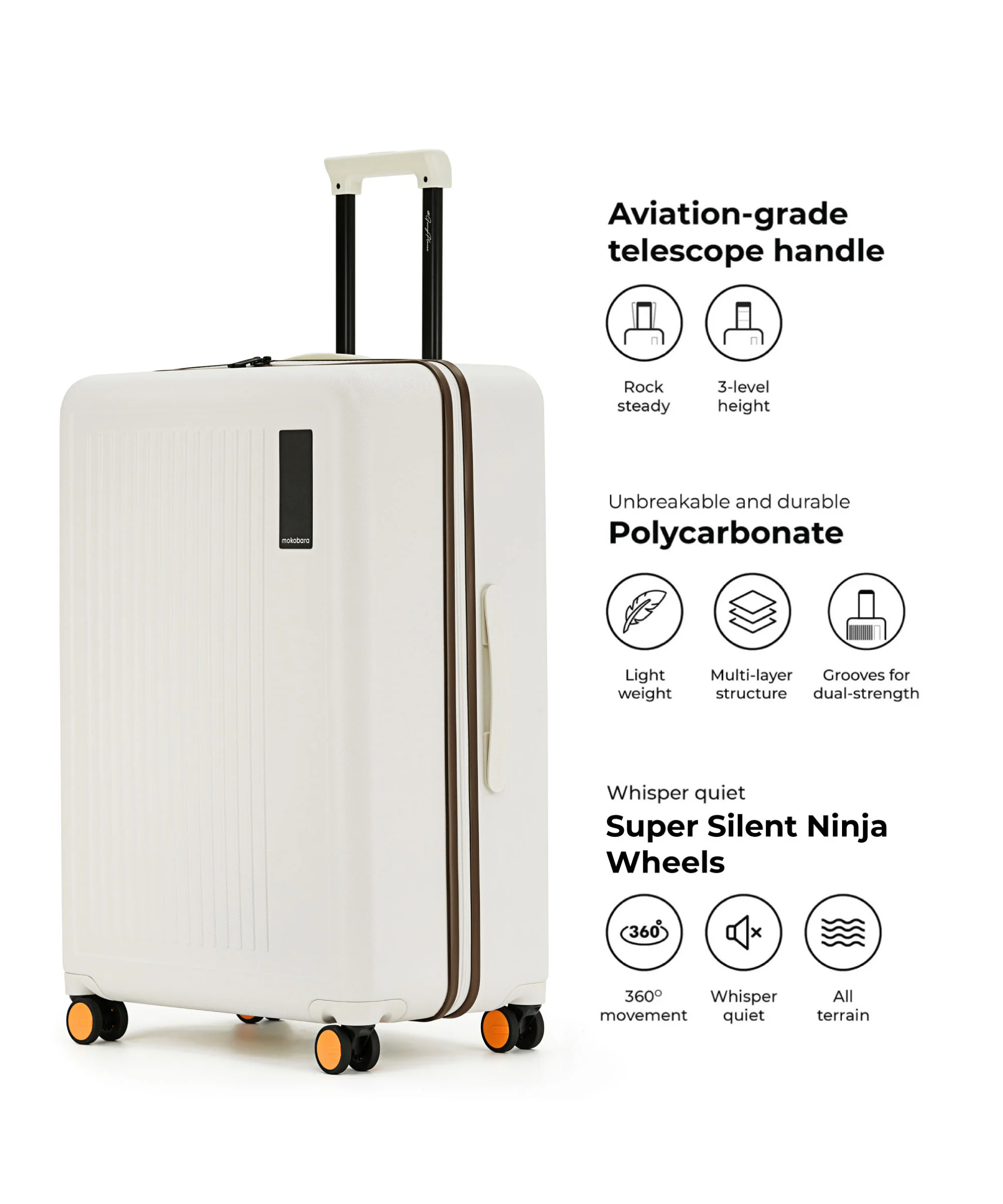 The Transit Luggage - Check-in Large - Image 30