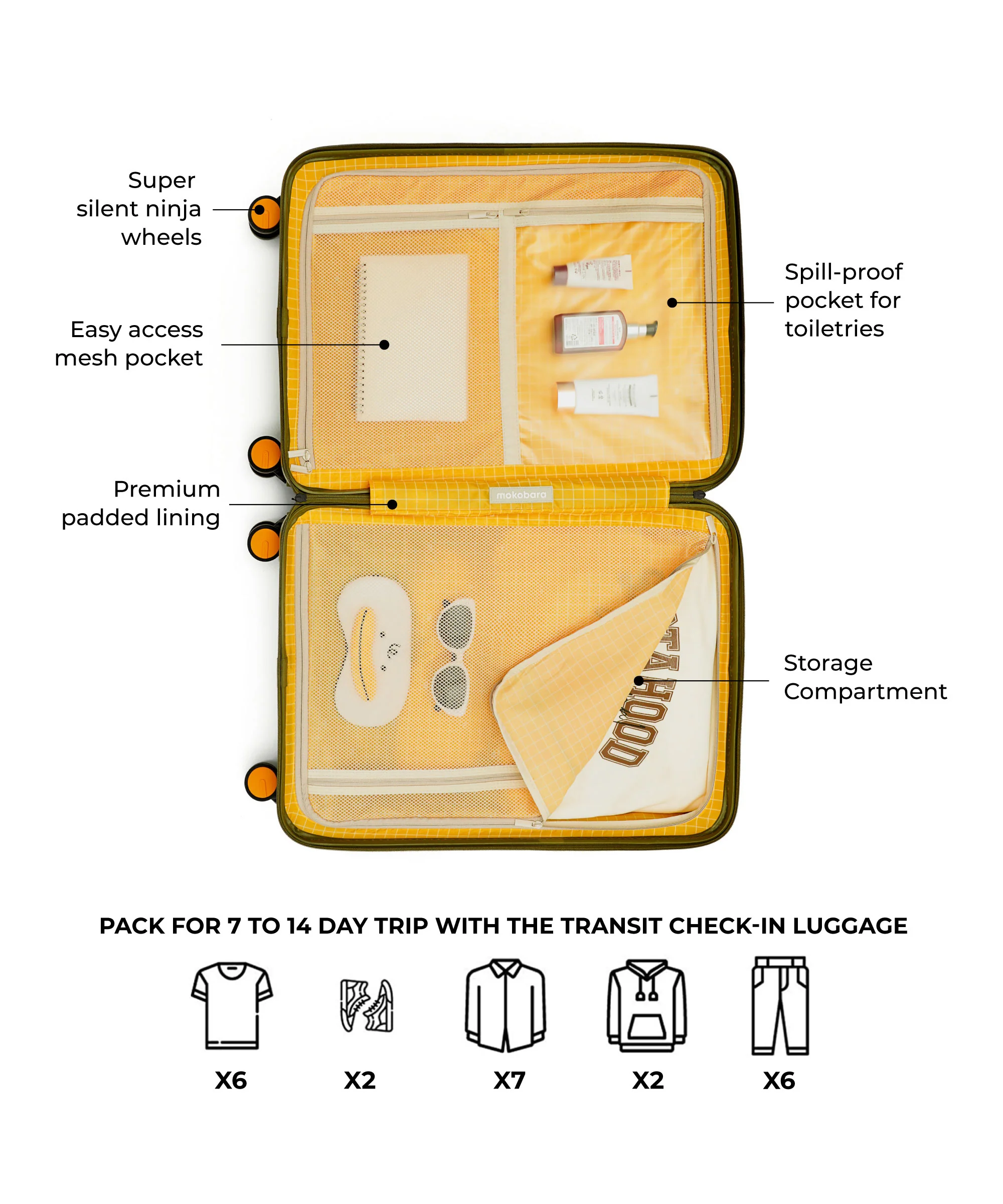 The Transit Luggage - Check-in - Image 13