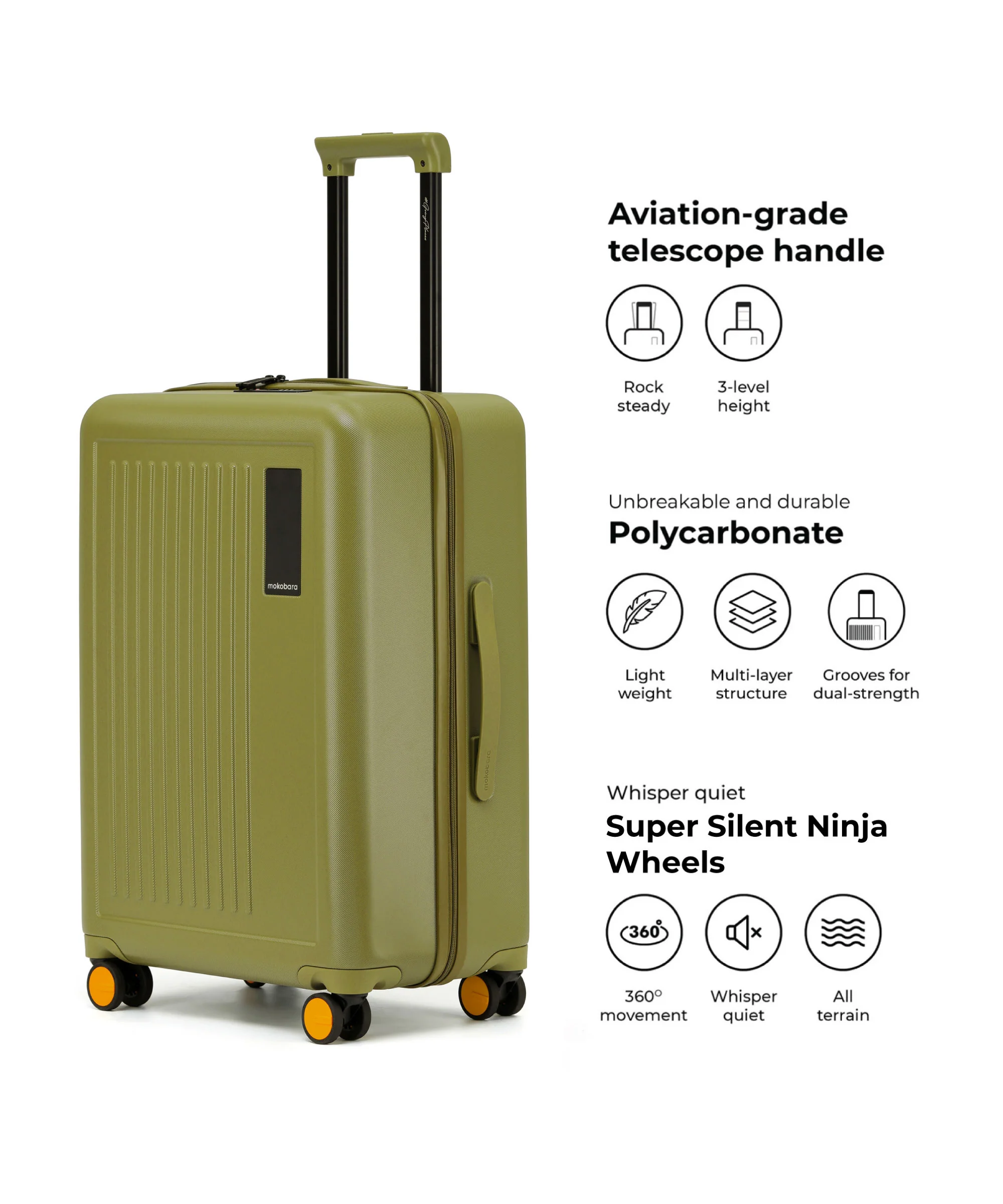 The Transit Luggage - Check-in - Image 19