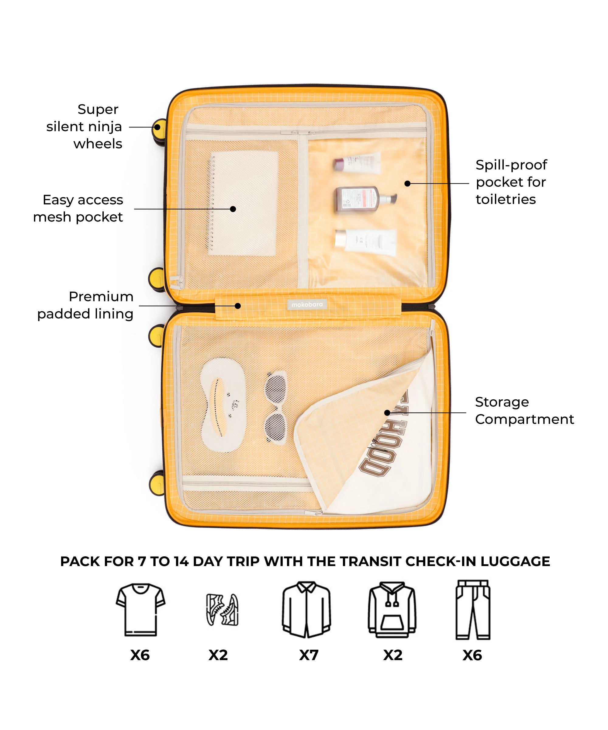 The Transit Luggage - Check-in - Image 21
