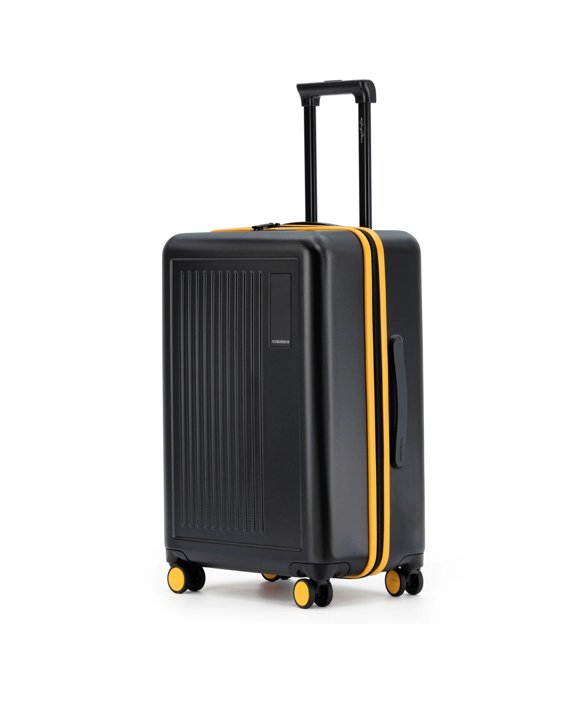 The Transit Luggage - Check-in - Image 25