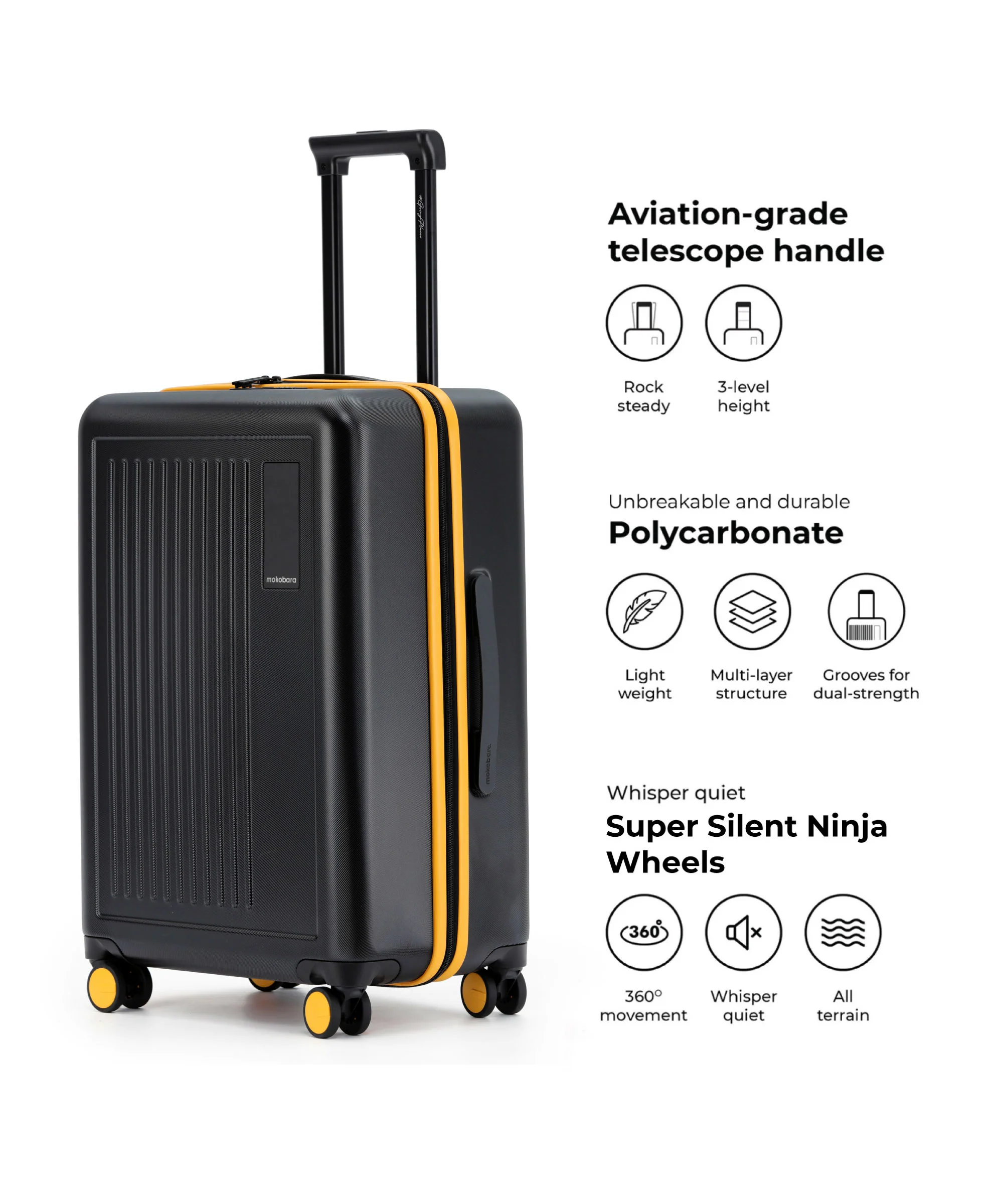 The Transit Luggage - Check-in - Image 27