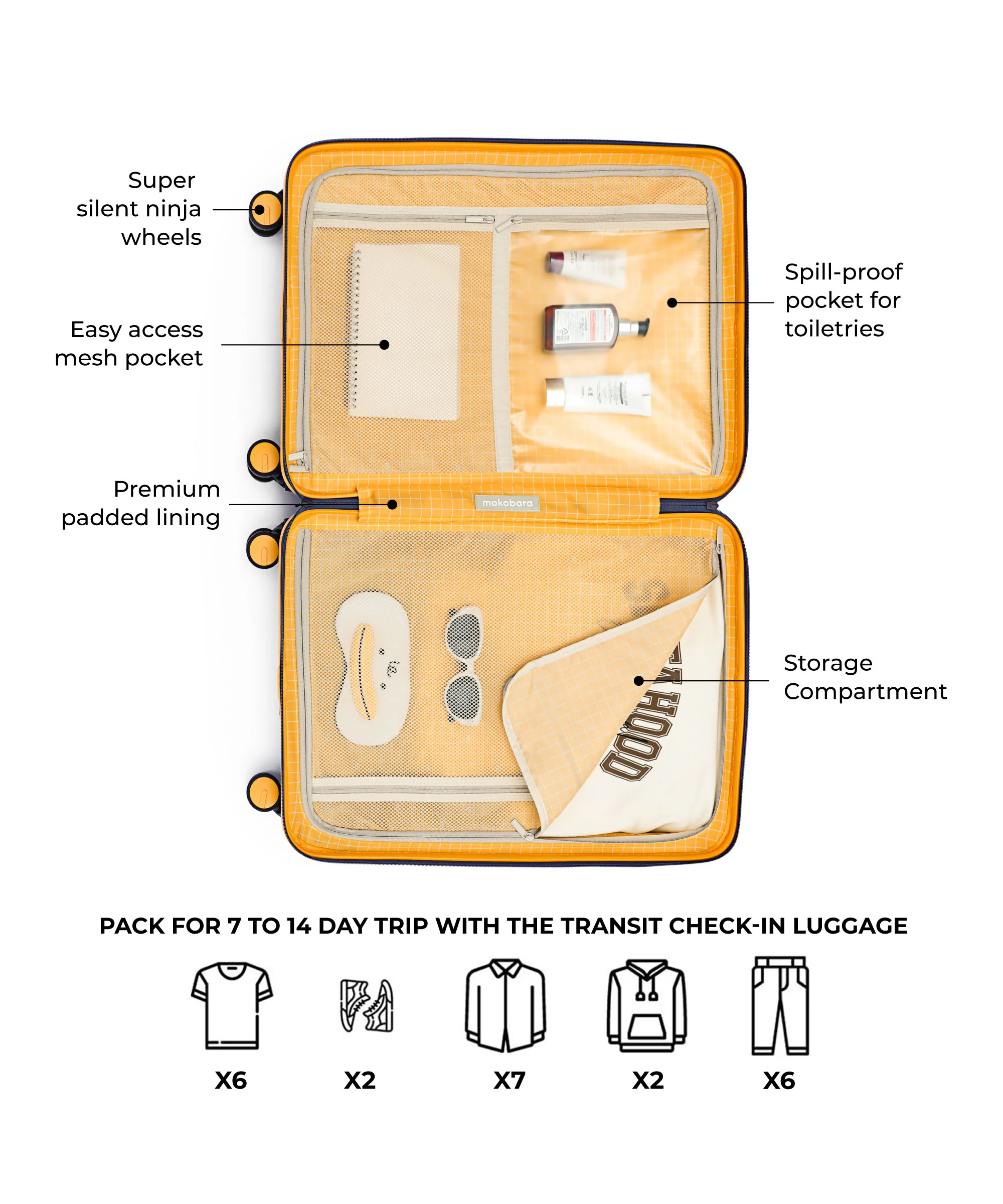 The Transit Luggage - Check-in - Image 29