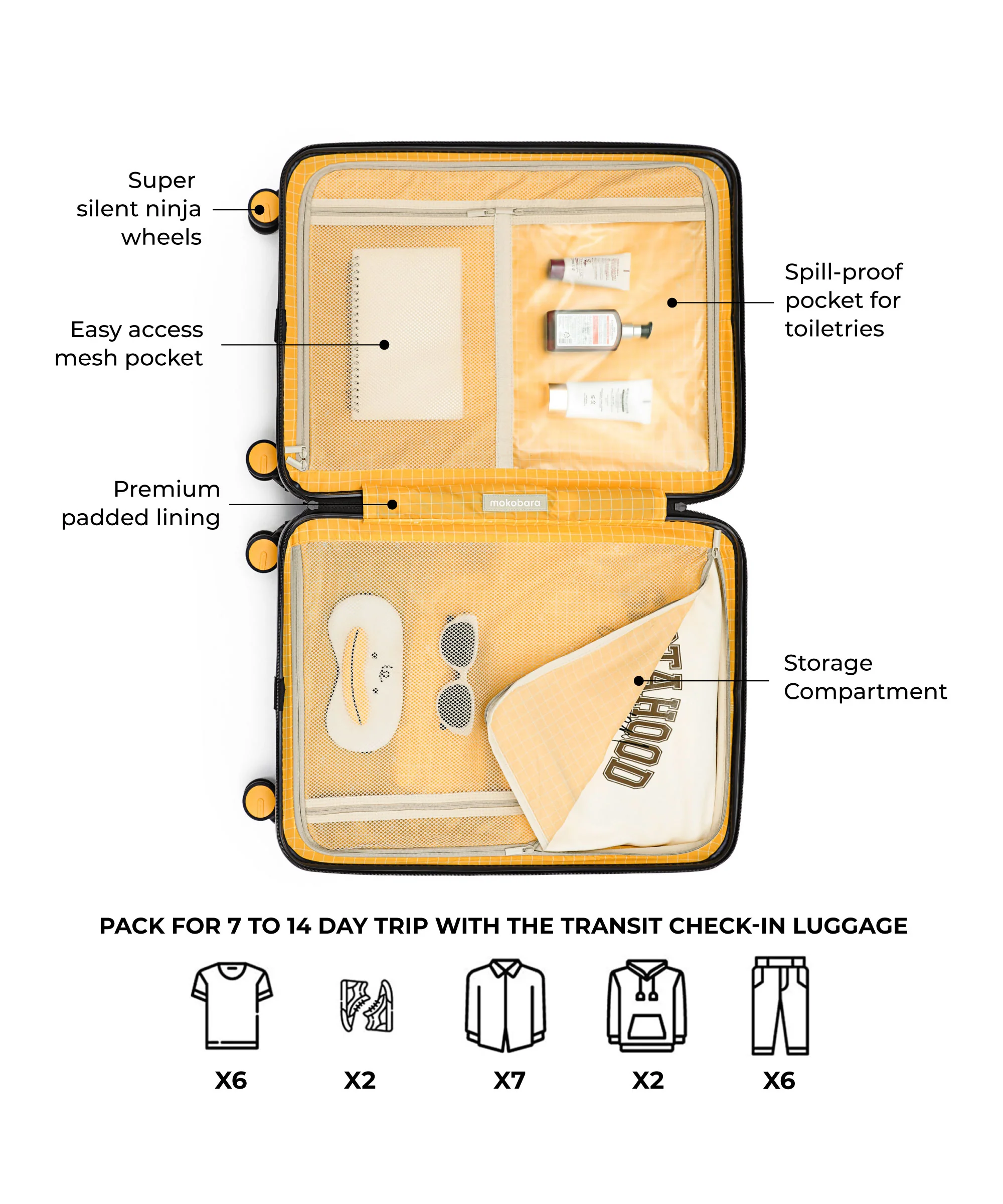 The Transit Luggage - Check-in - Image 37