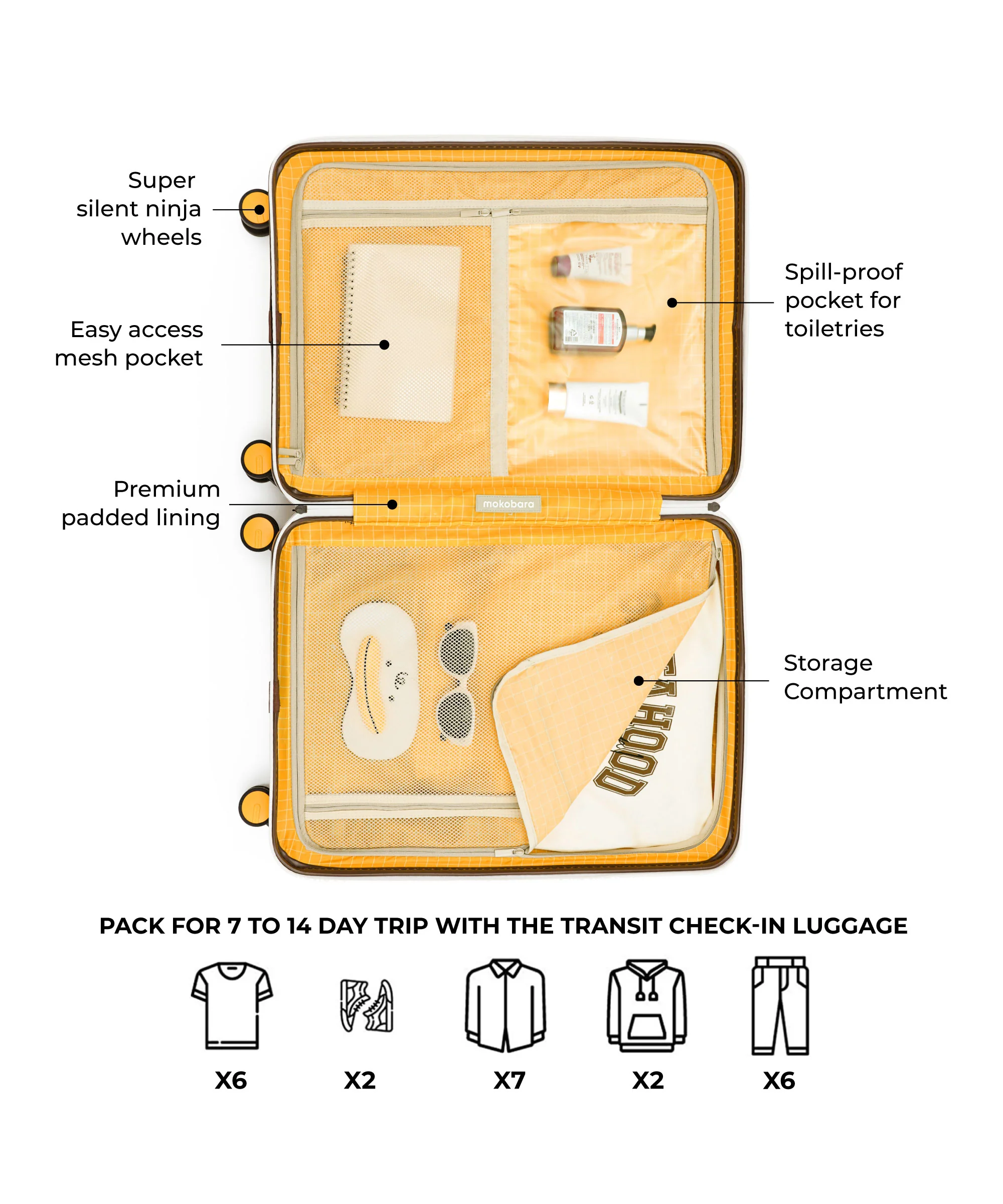 The Transit Luggage - Check-in - Image 5