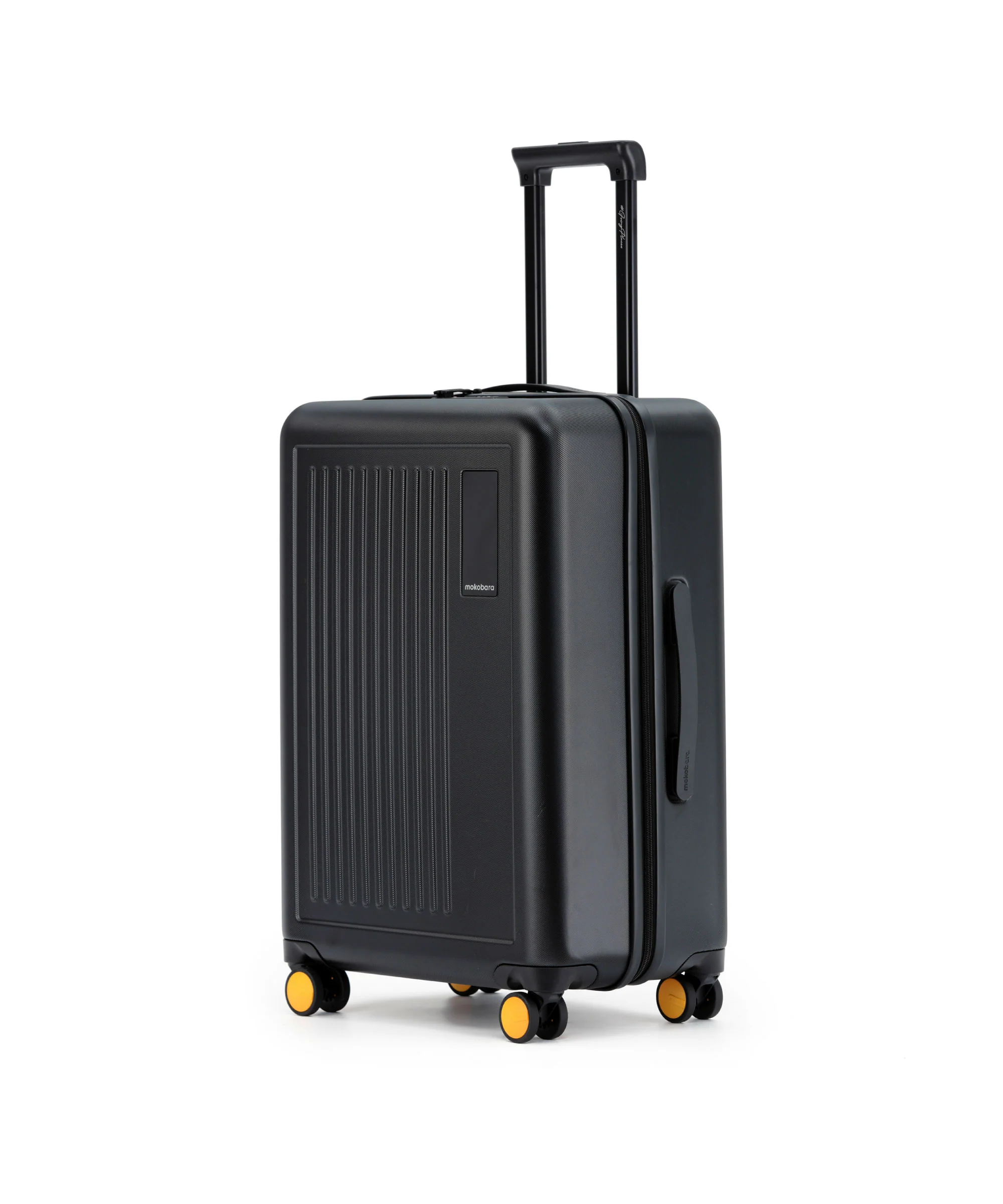 The Transit Luggage - Check-in - Image 9