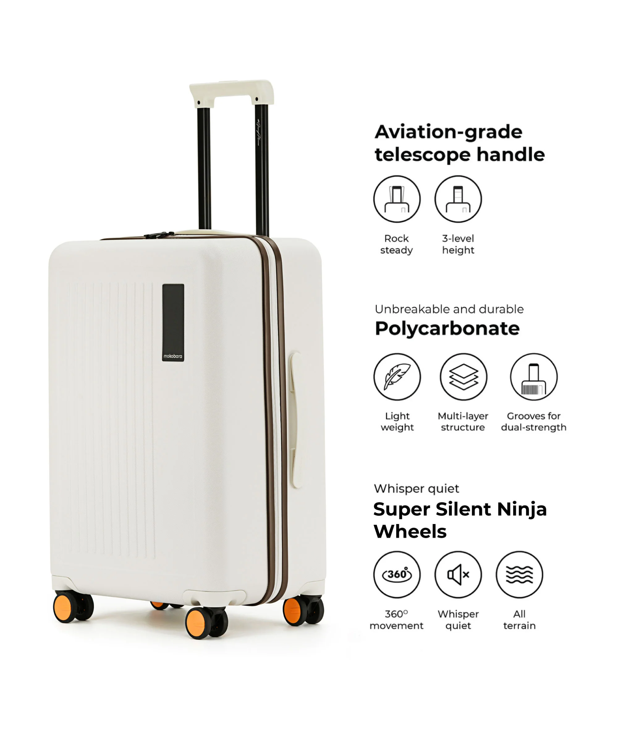 The Transit Luggage - Set of 2 - Image 18