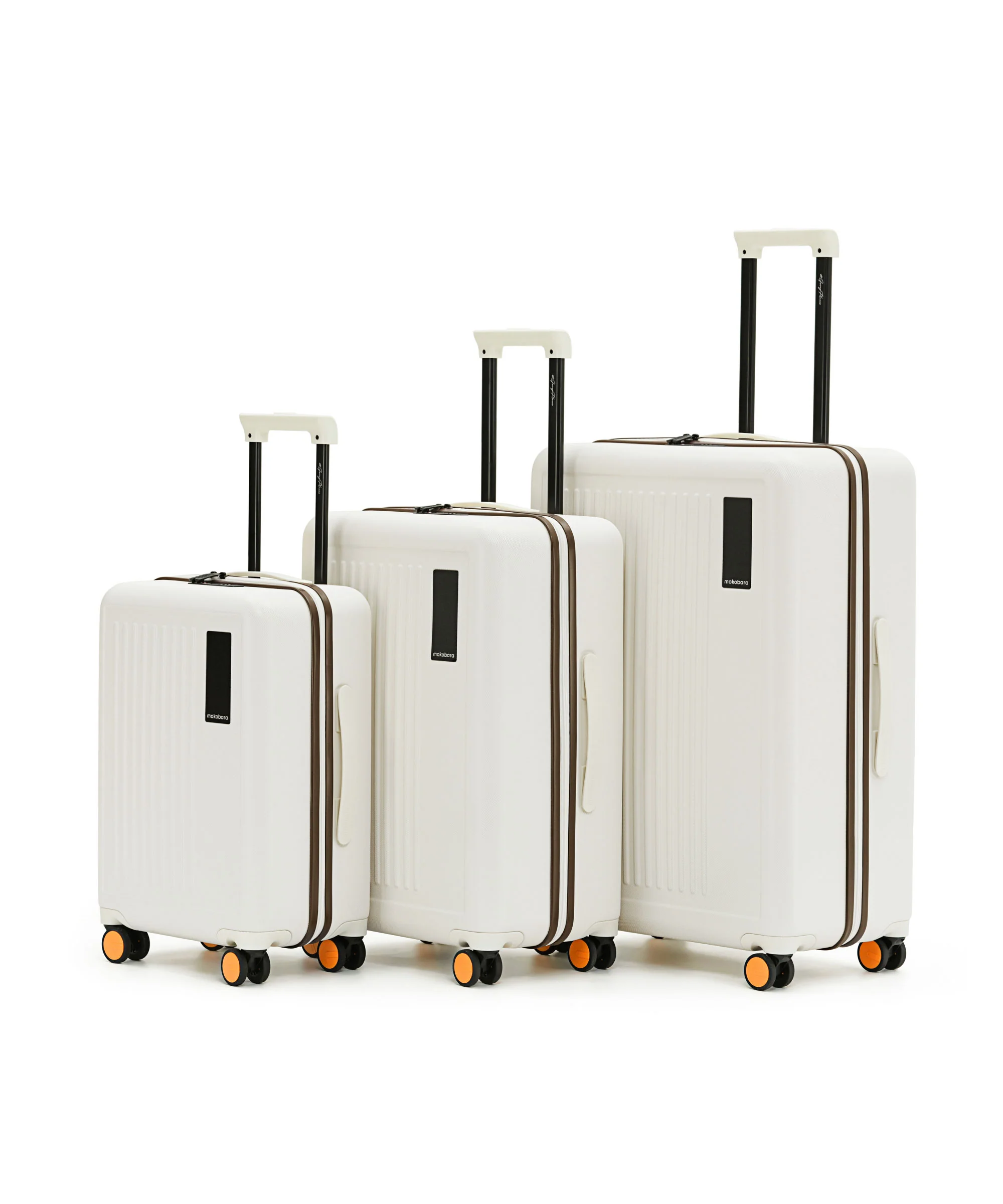 The Transit Luggage - Set of 3 - Image 19