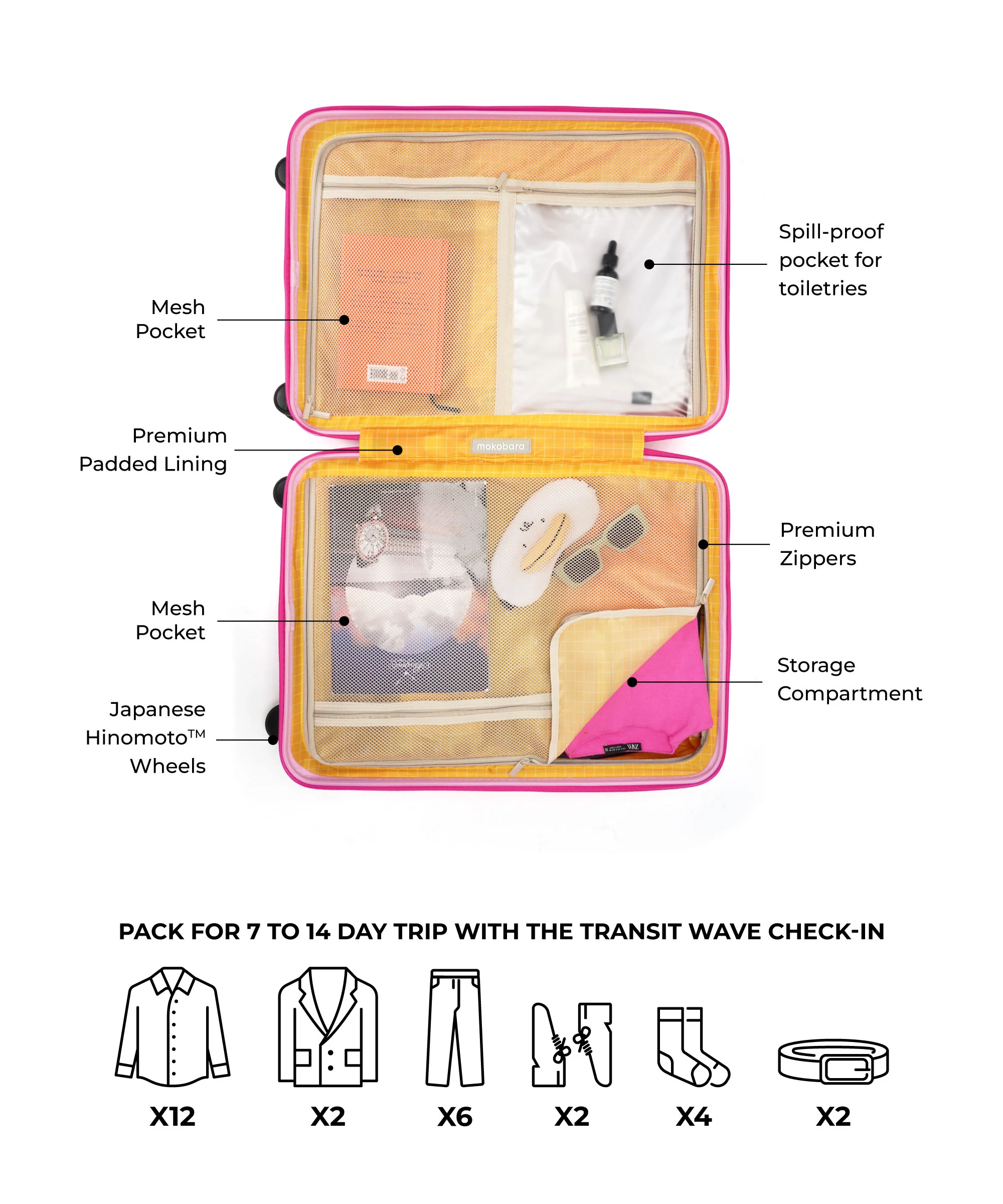 The Transit Wave - Check-in - Image 7